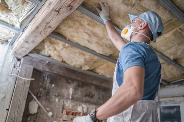 Best Types of Insulation in Laverne, OK